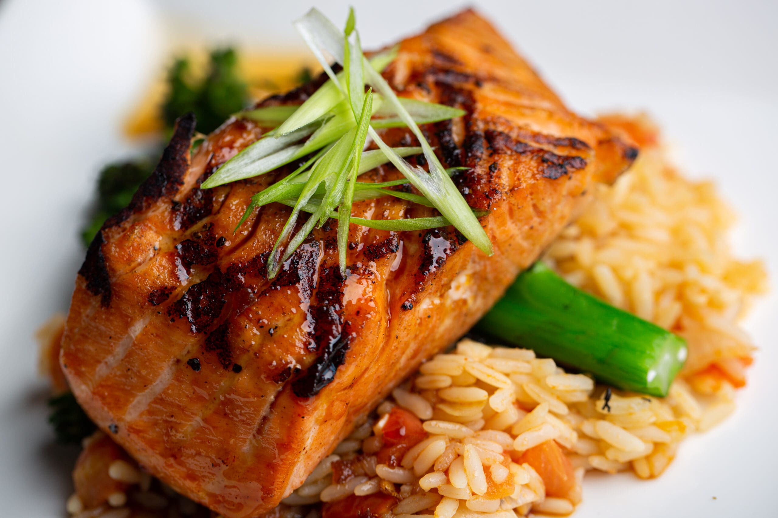 Salmon-Photo-12.19